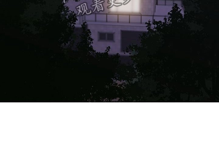 第32章：闪闪发光