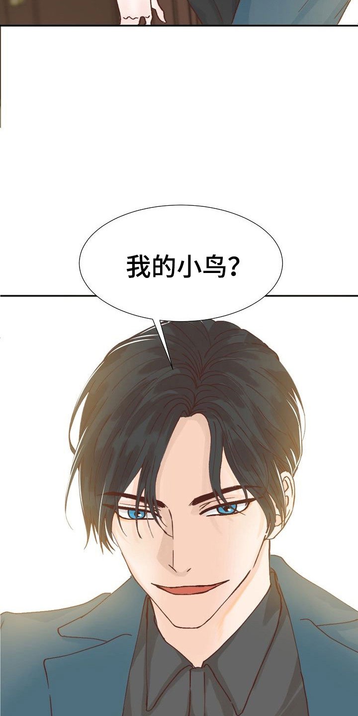 第7章：各出手段