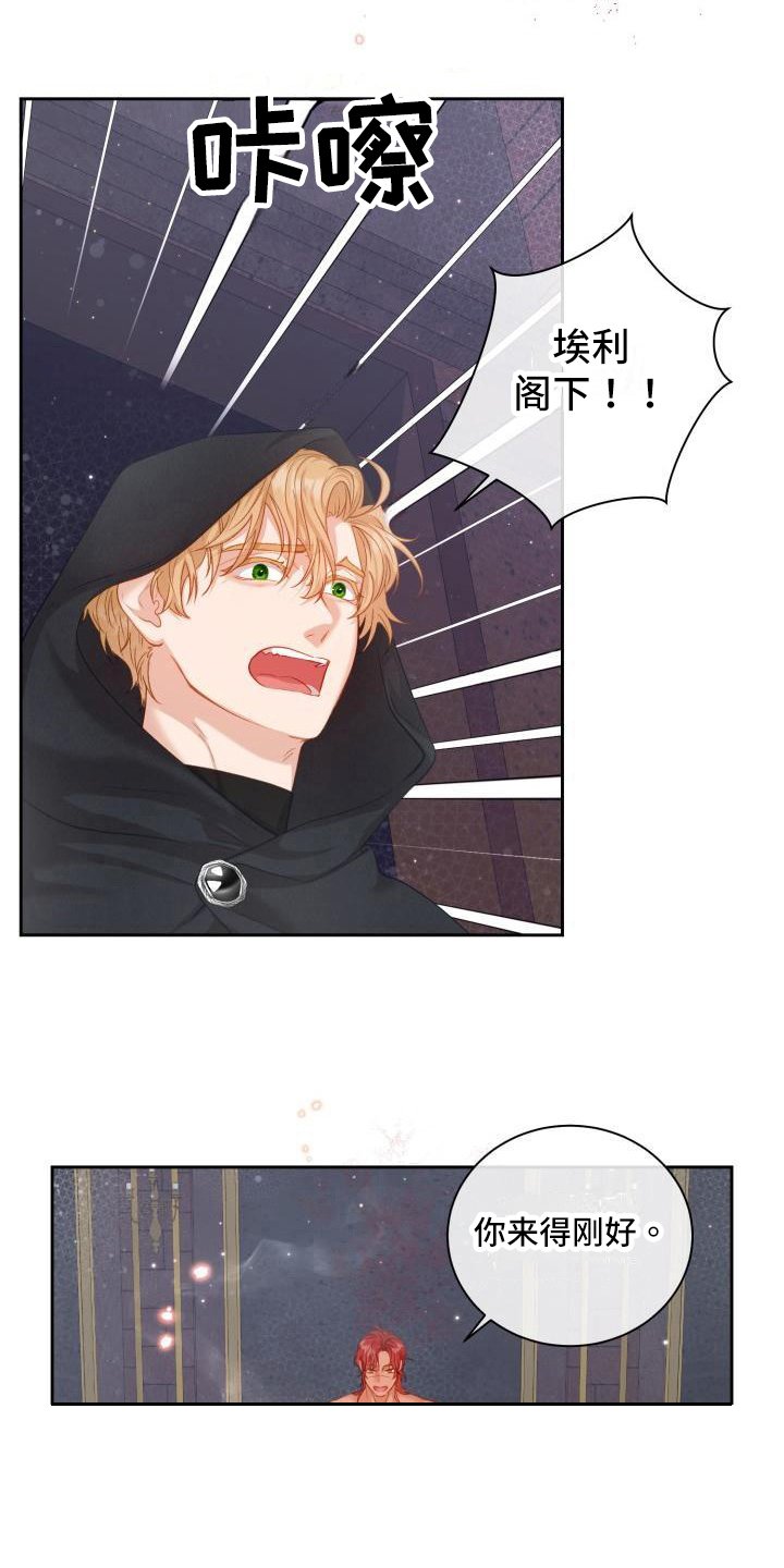 第21章：三个阿尔法：一起