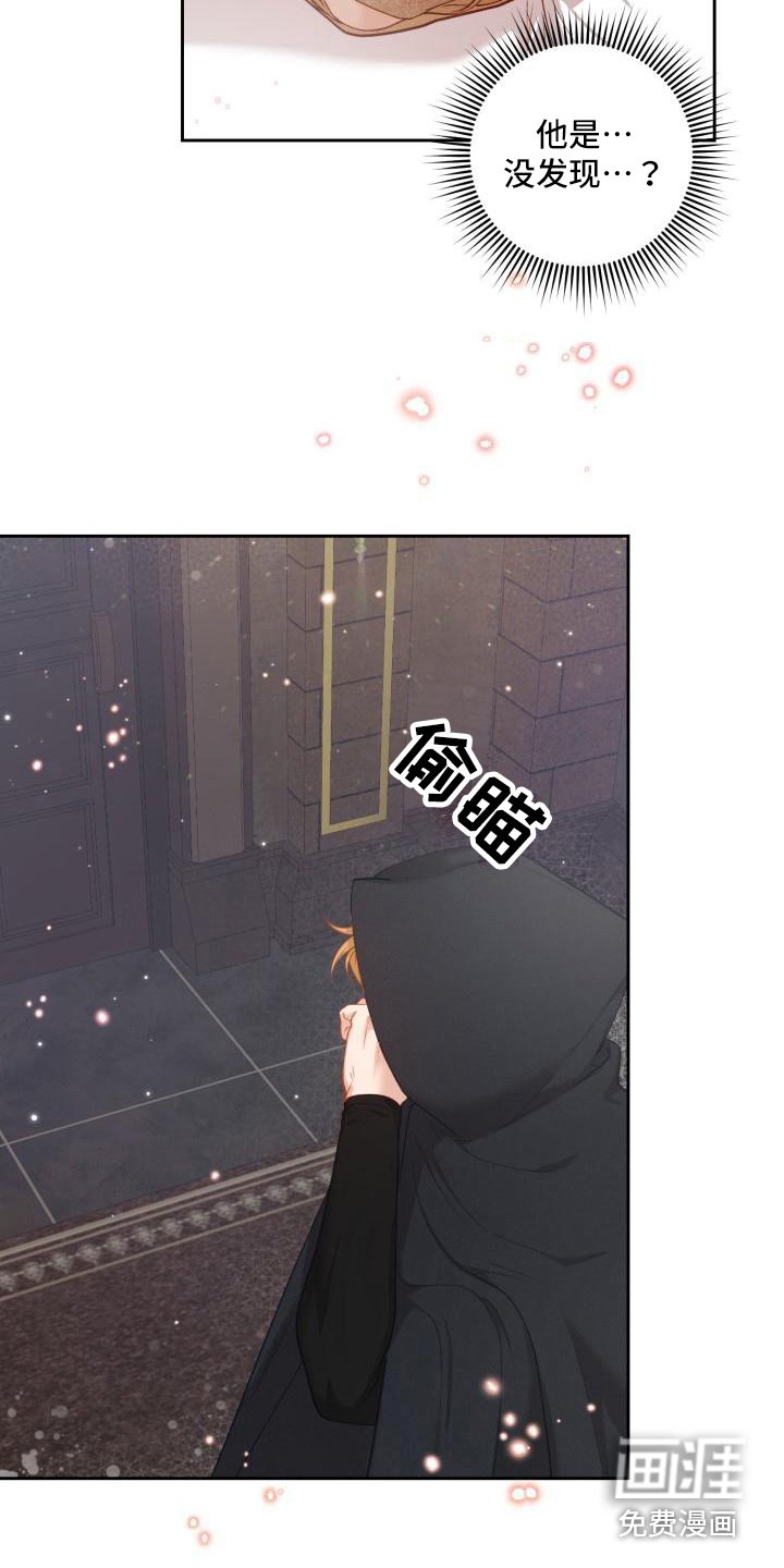 第21章：三个阿尔法：一起