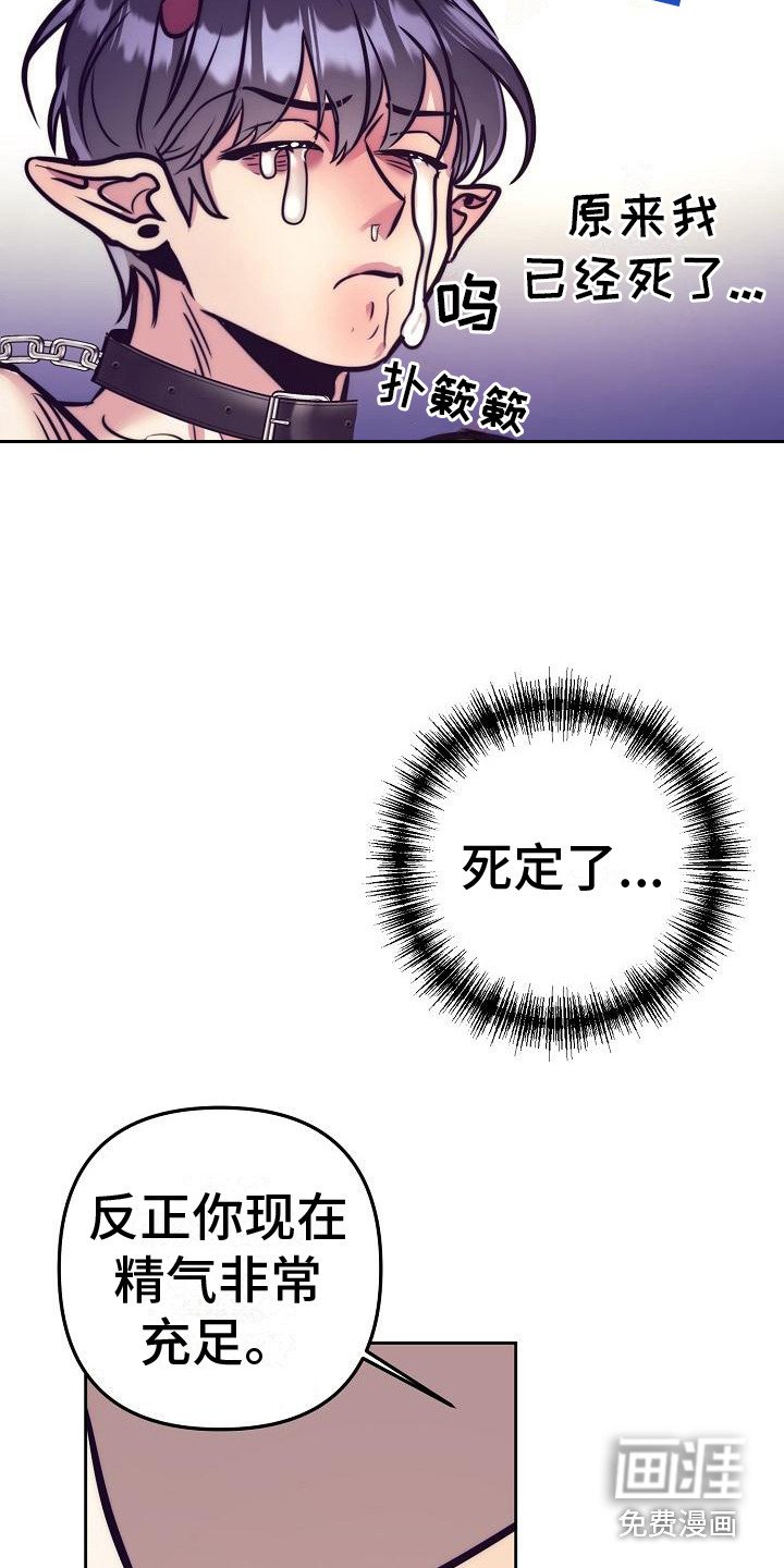 第28章：天使契约：天使