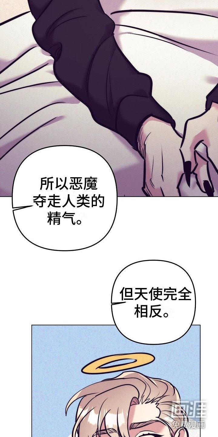 第34章：天使契约：最好的结局（完结）