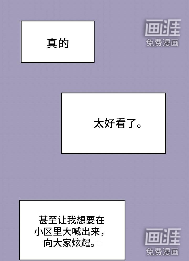 第6章：身体互换：幸福的生活（完结）