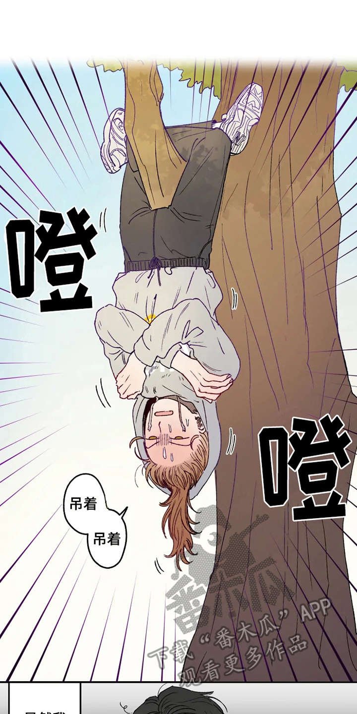 第20章：倒吊