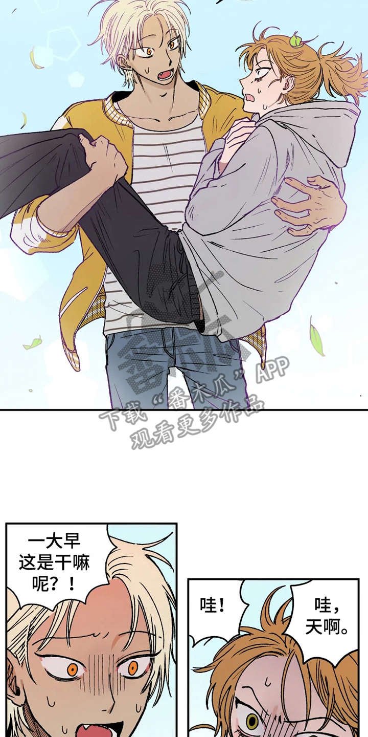 第20章：倒吊