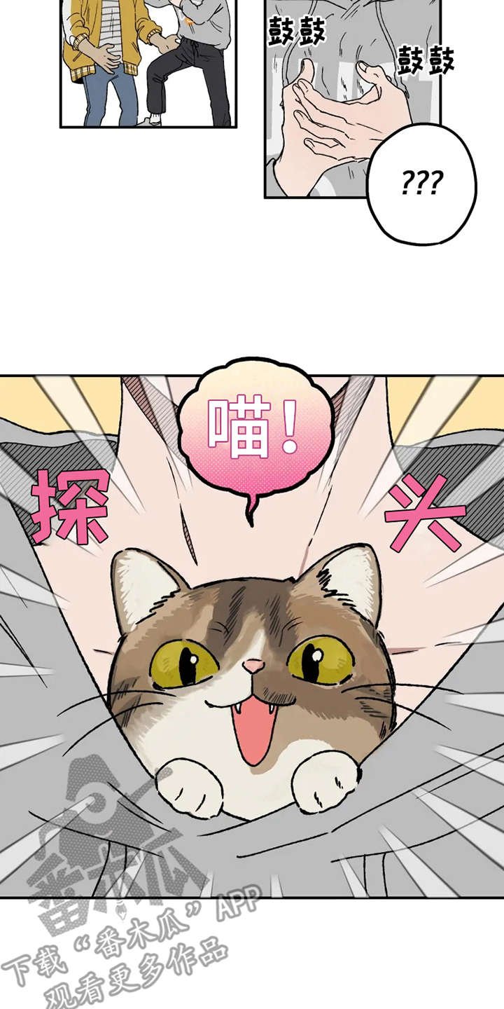 第21章：很在意