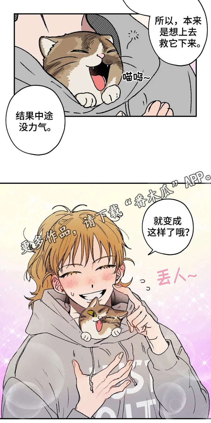 第21章：很在意