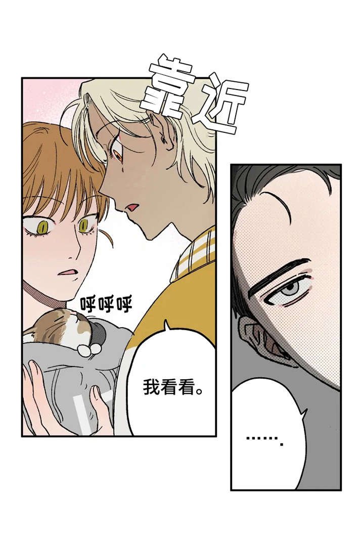 第21章：很在意