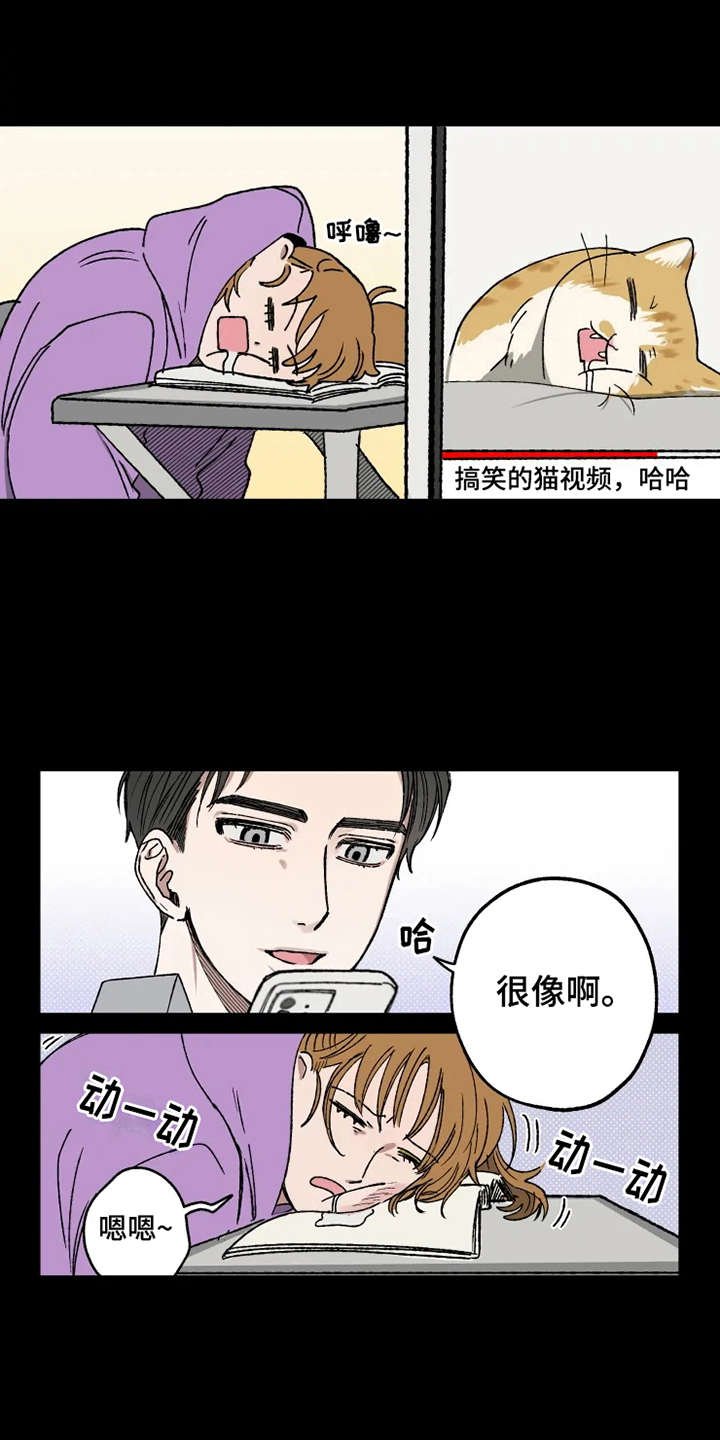 第21章：很在意
