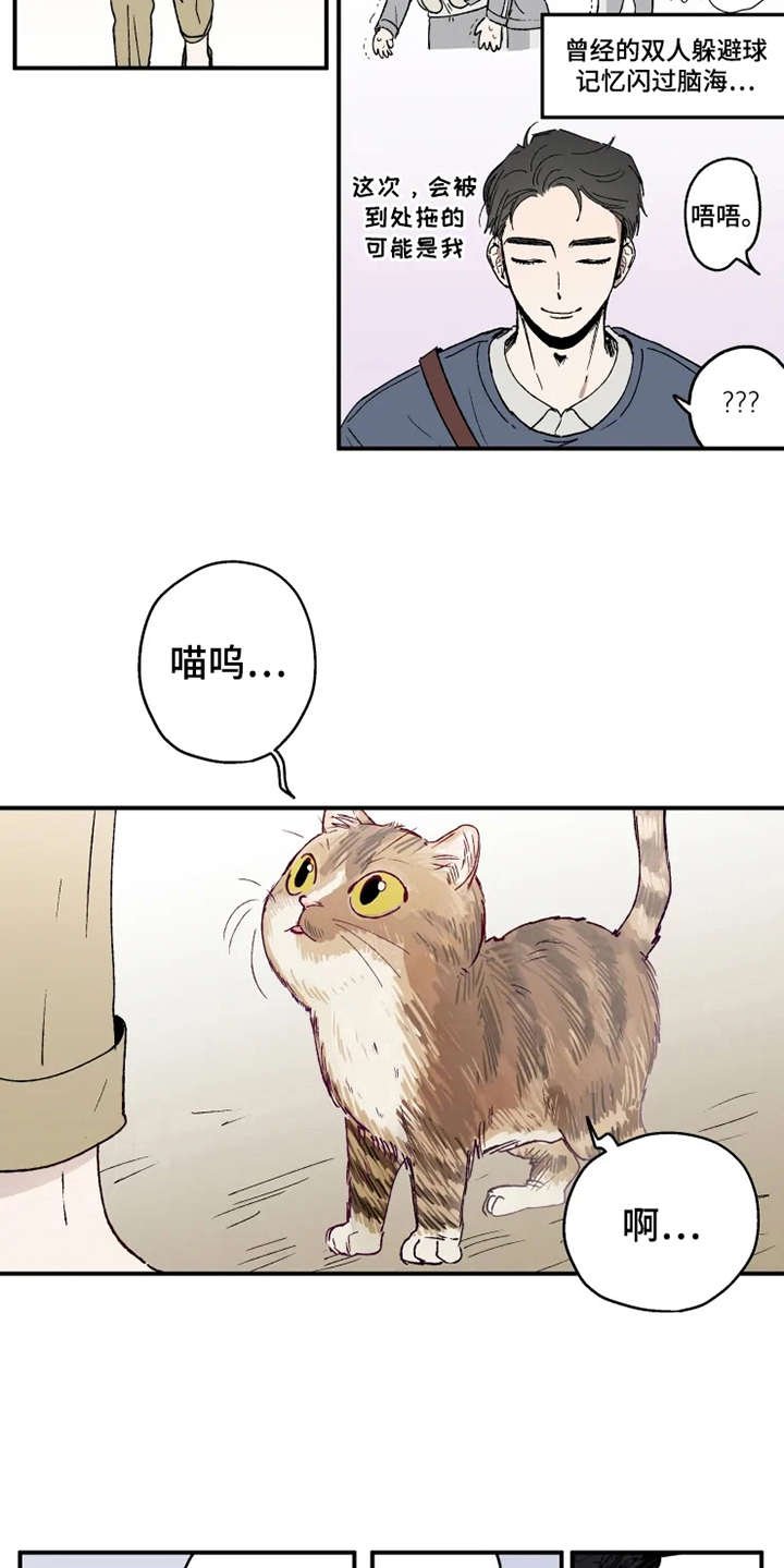 第23章：出谋划策