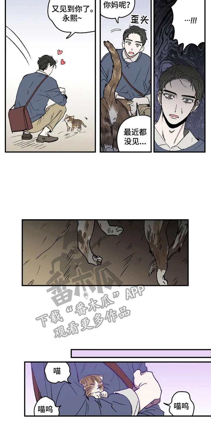 第23章：出谋划策
