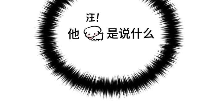 第4章：我行我素
