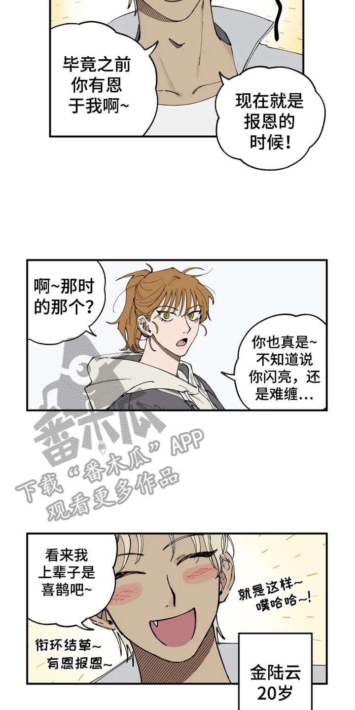 第6章：出手相助