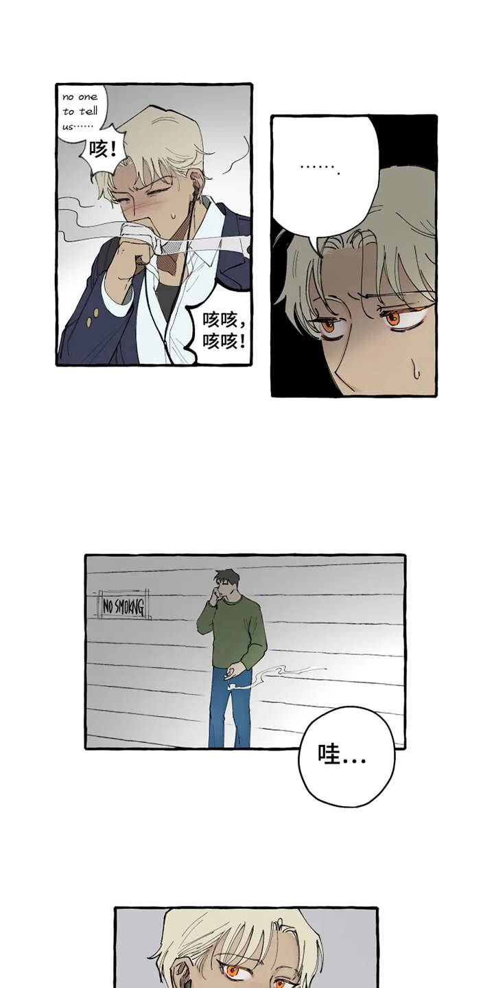 第6章：出手相助