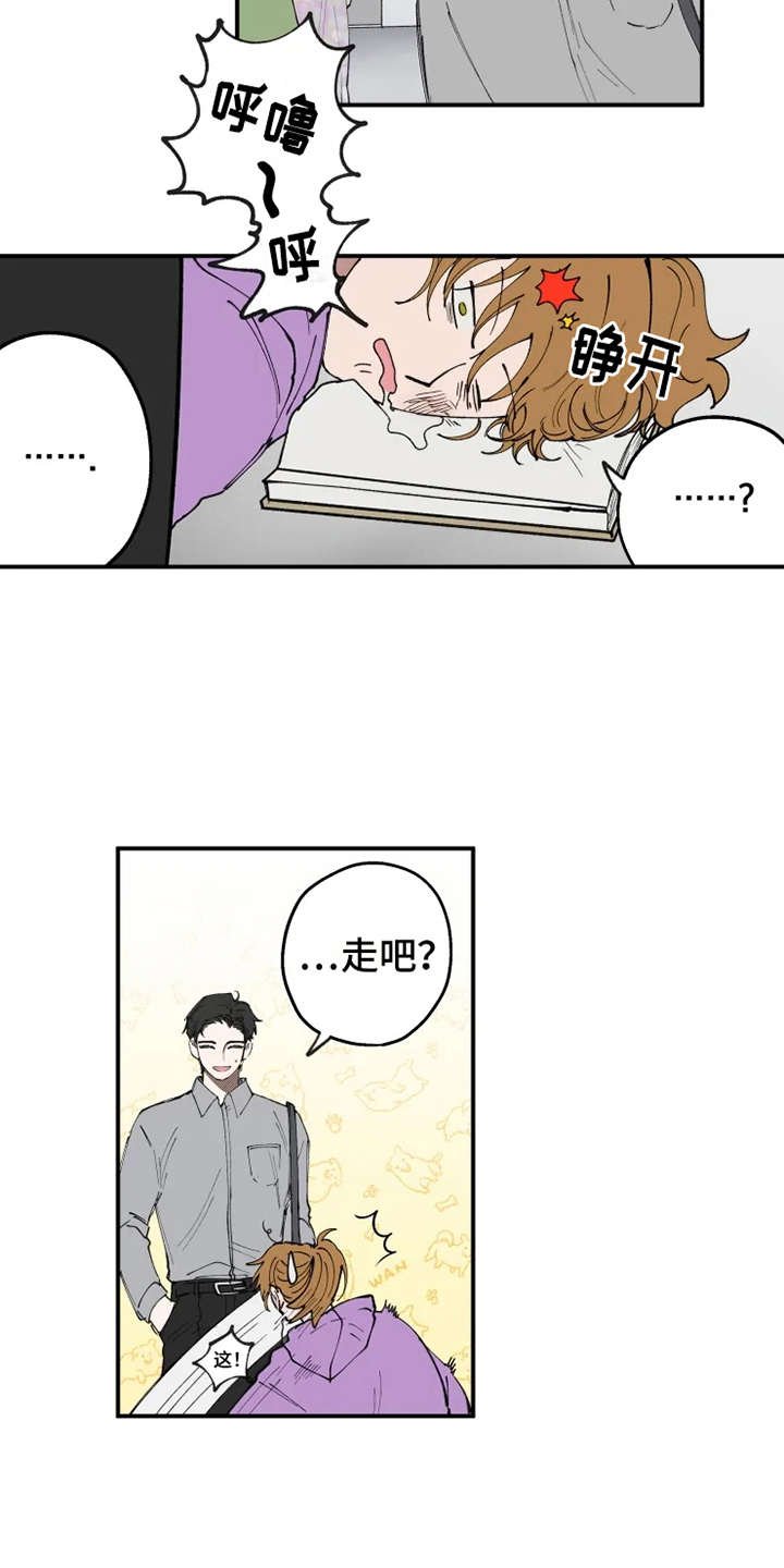 第8章：猫咪