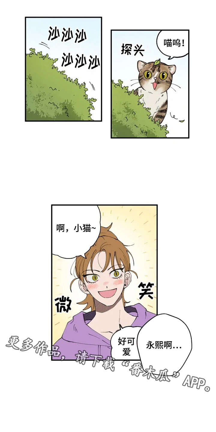 第8章：猫咪