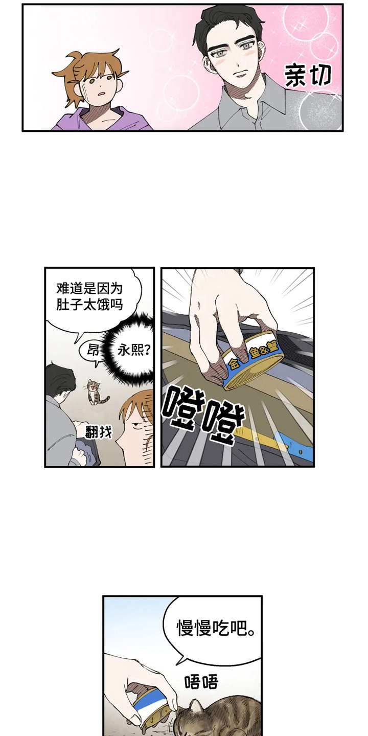 第8章：猫咪