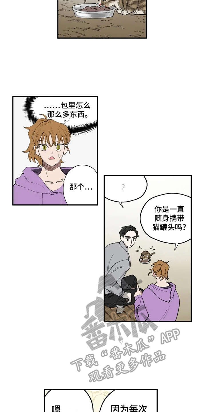 第8章：猫咪