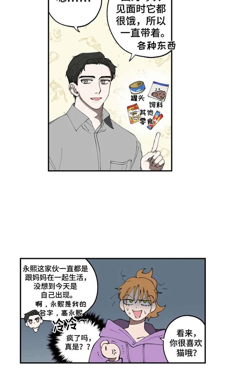 第8章：猫咪