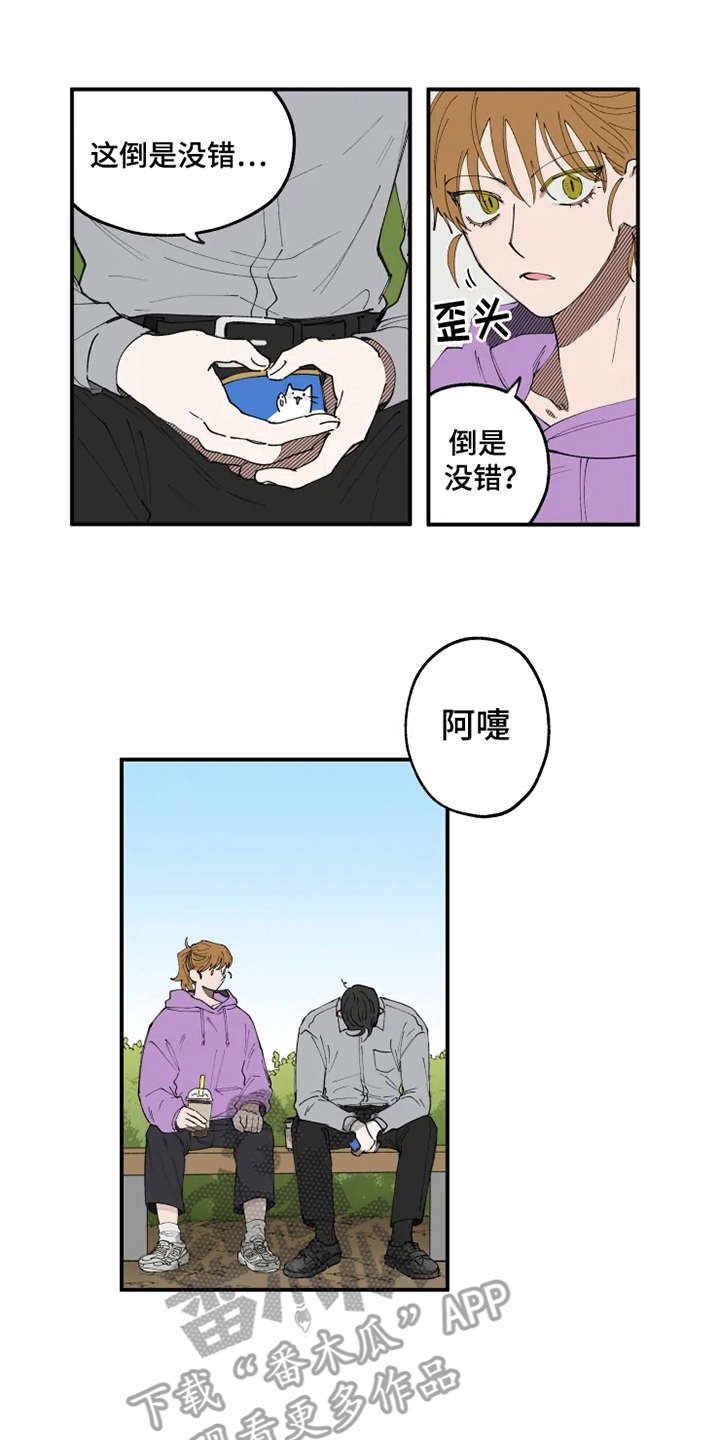 第8章：猫咪