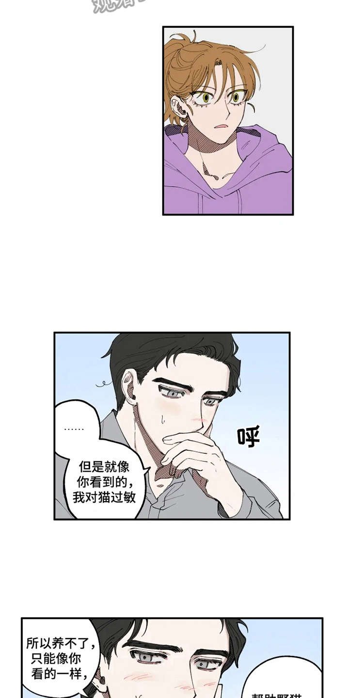 第8章：猫咪