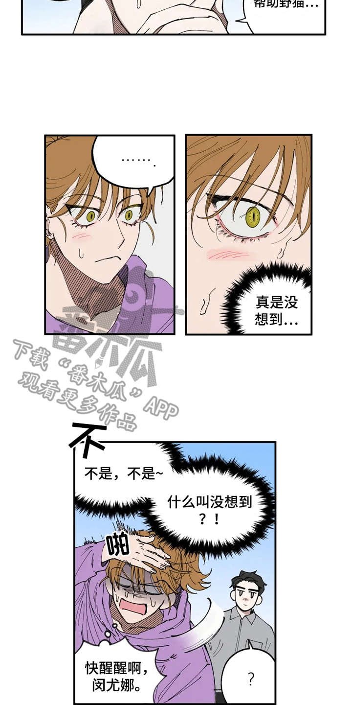 第8章：猫咪