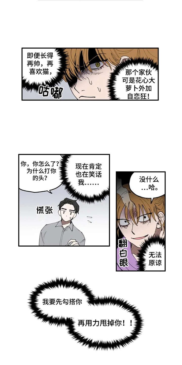 第8章：猫咪