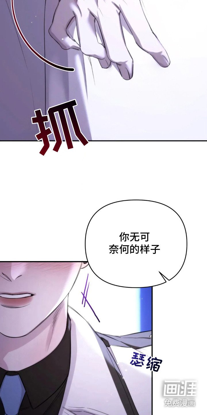 第12章：无可奈何