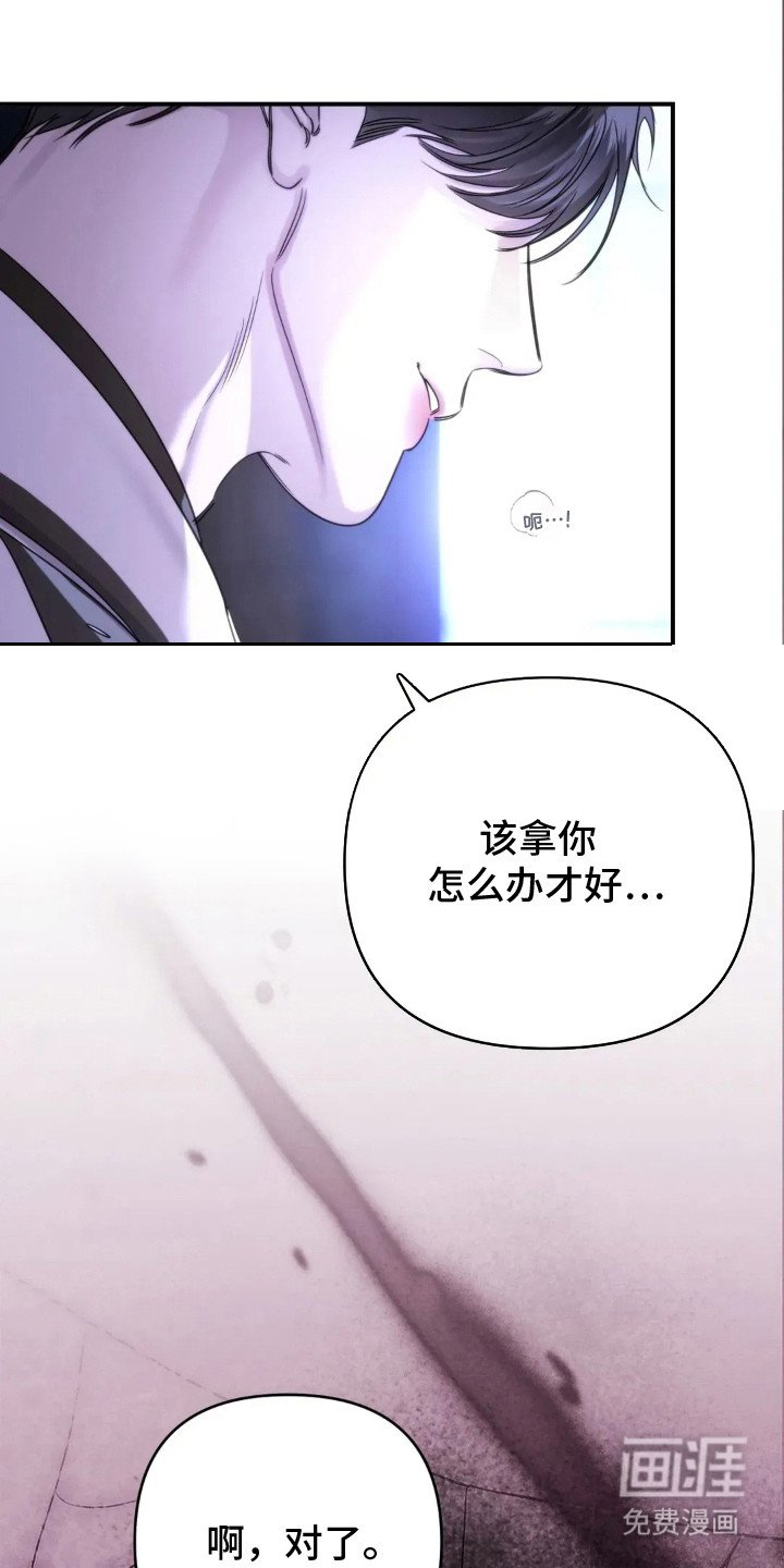 第13章：坦诚点