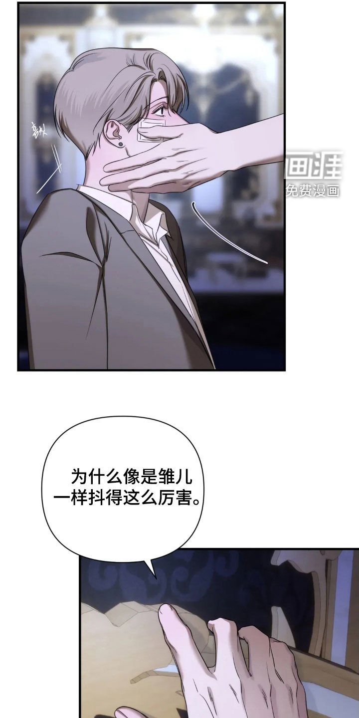 第23章：让我看看