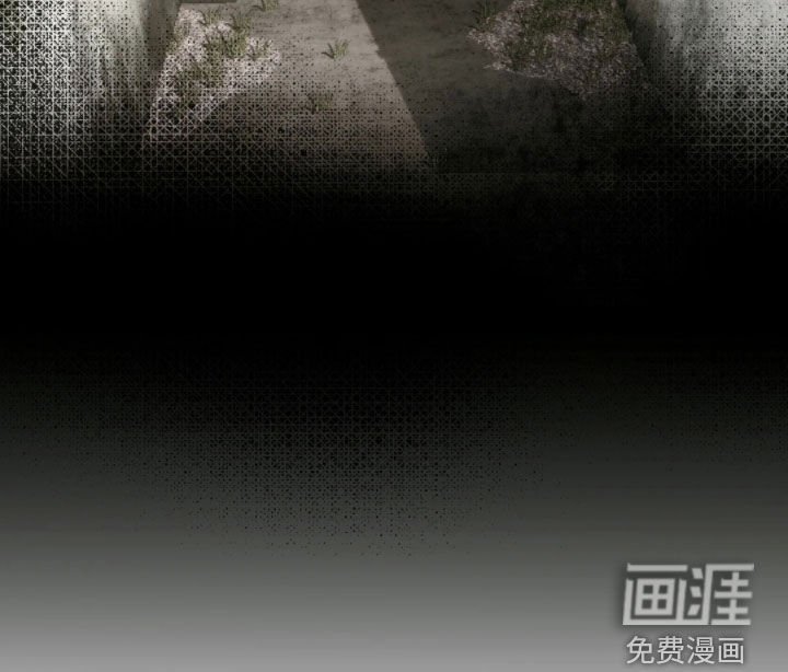 第25章：资料