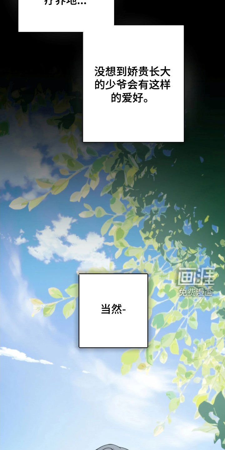 第27章：推测