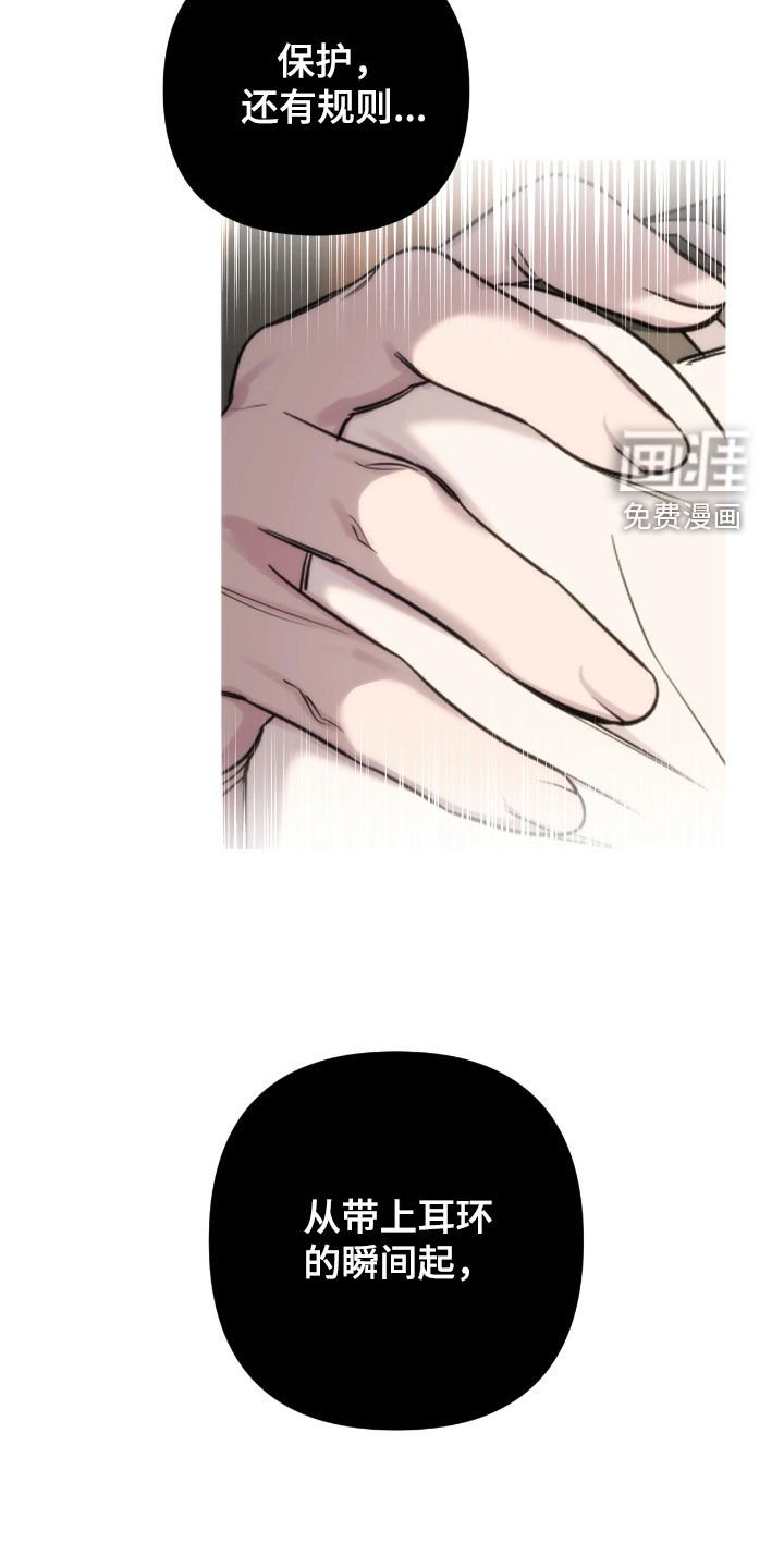 第39章：秘密实验
