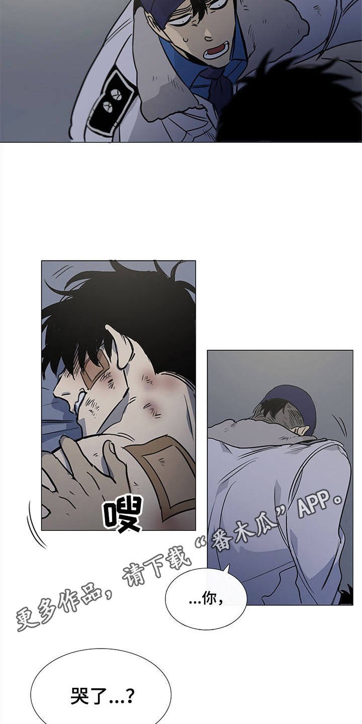 第17章：安慰