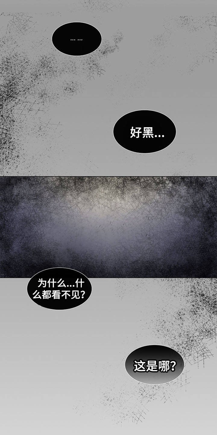 第20章：绑架