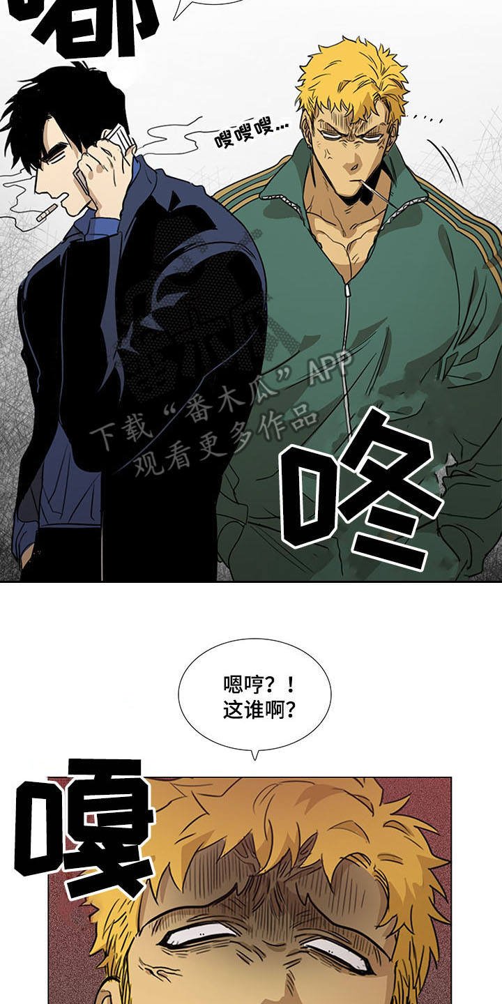 第29章：站稳脚跟