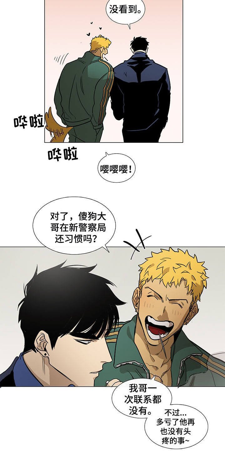 第29章：站稳脚跟