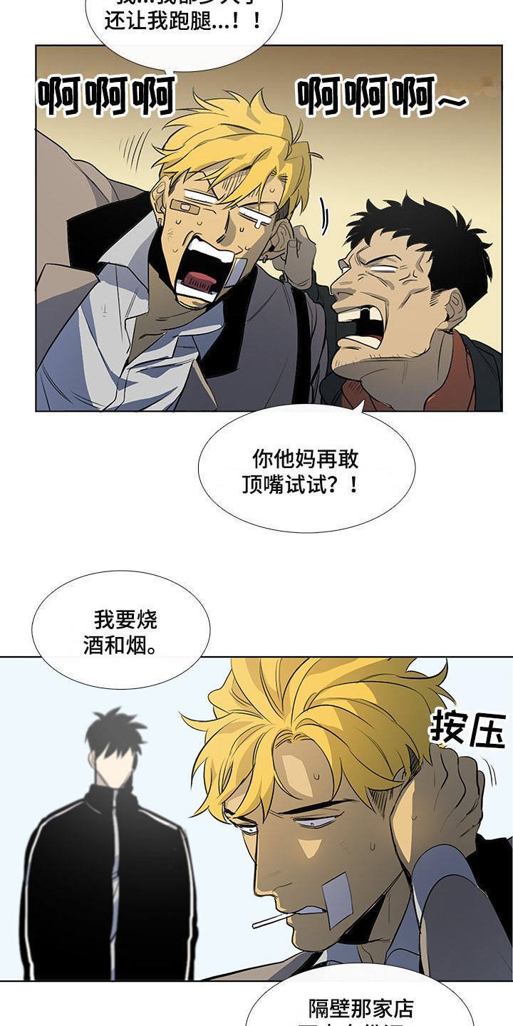第9章：白毫米