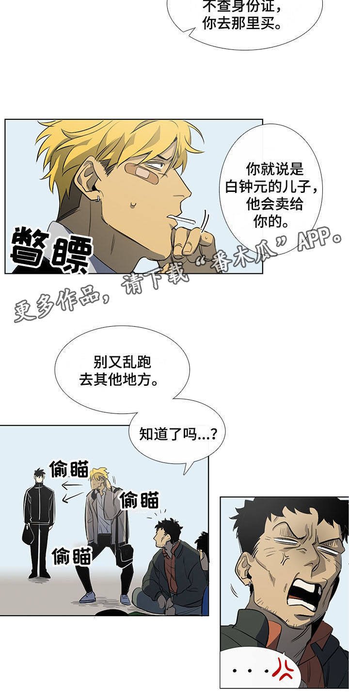 第9章：白毫米