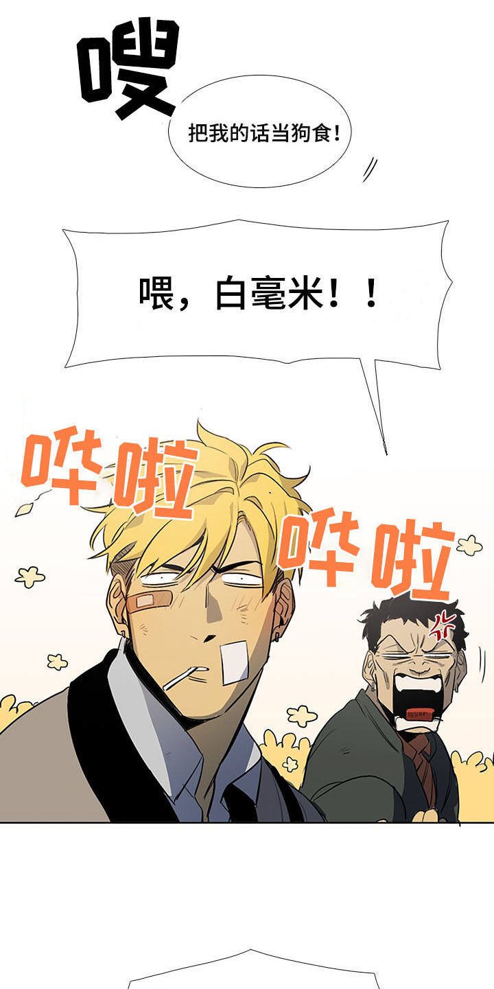 第9章：白毫米