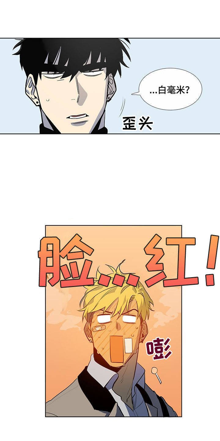 第9章：白毫米