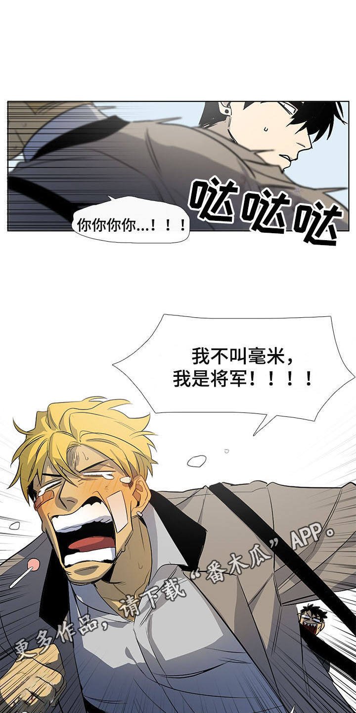 第9章：白毫米