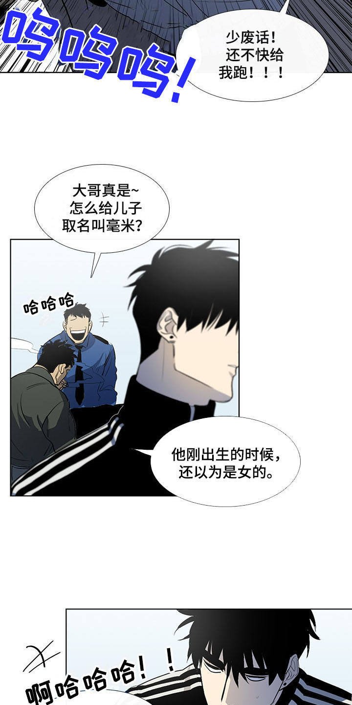 第9章：白毫米
