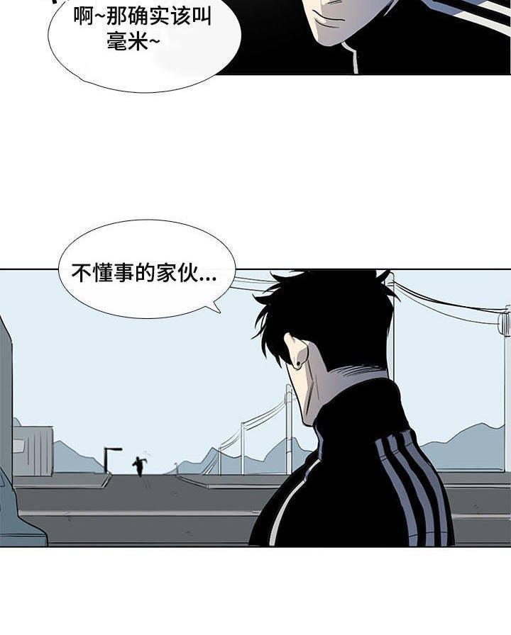 第9章：白毫米