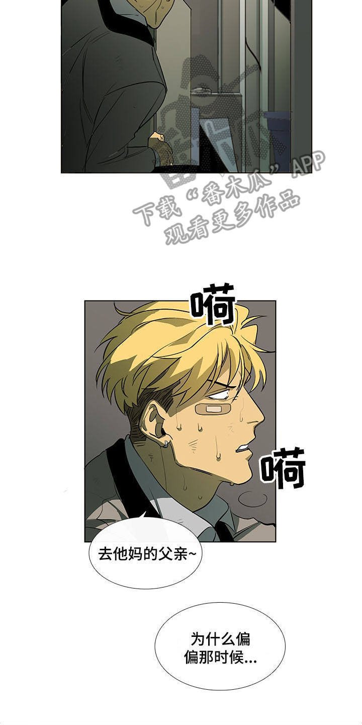 第9章：白毫米