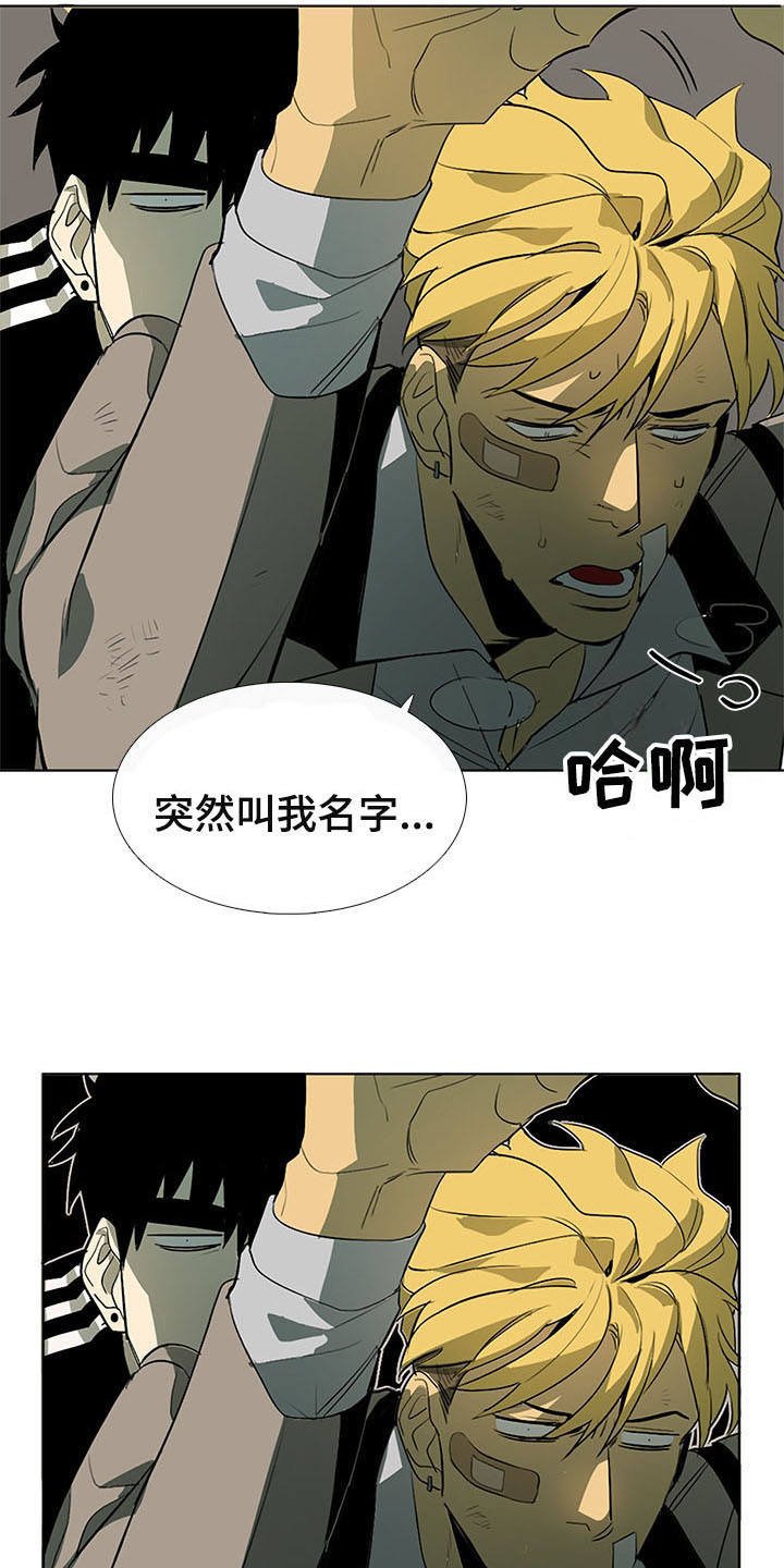 第9章：白毫米