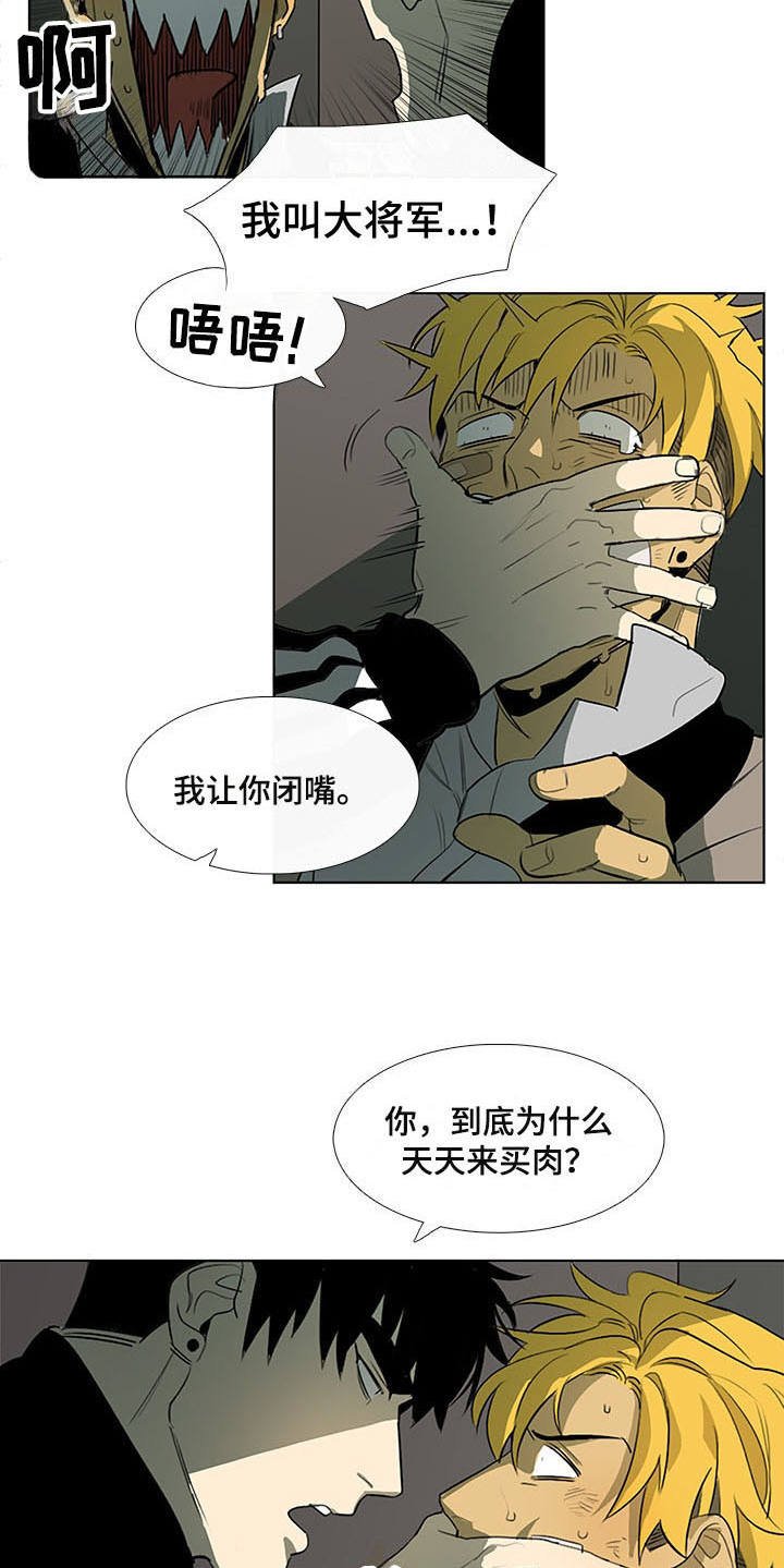 第9章：白毫米
