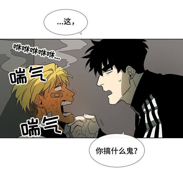 第9章：白毫米