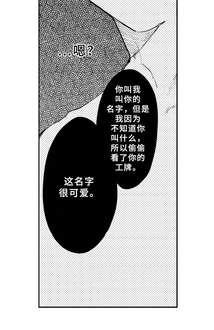 第11章：解释