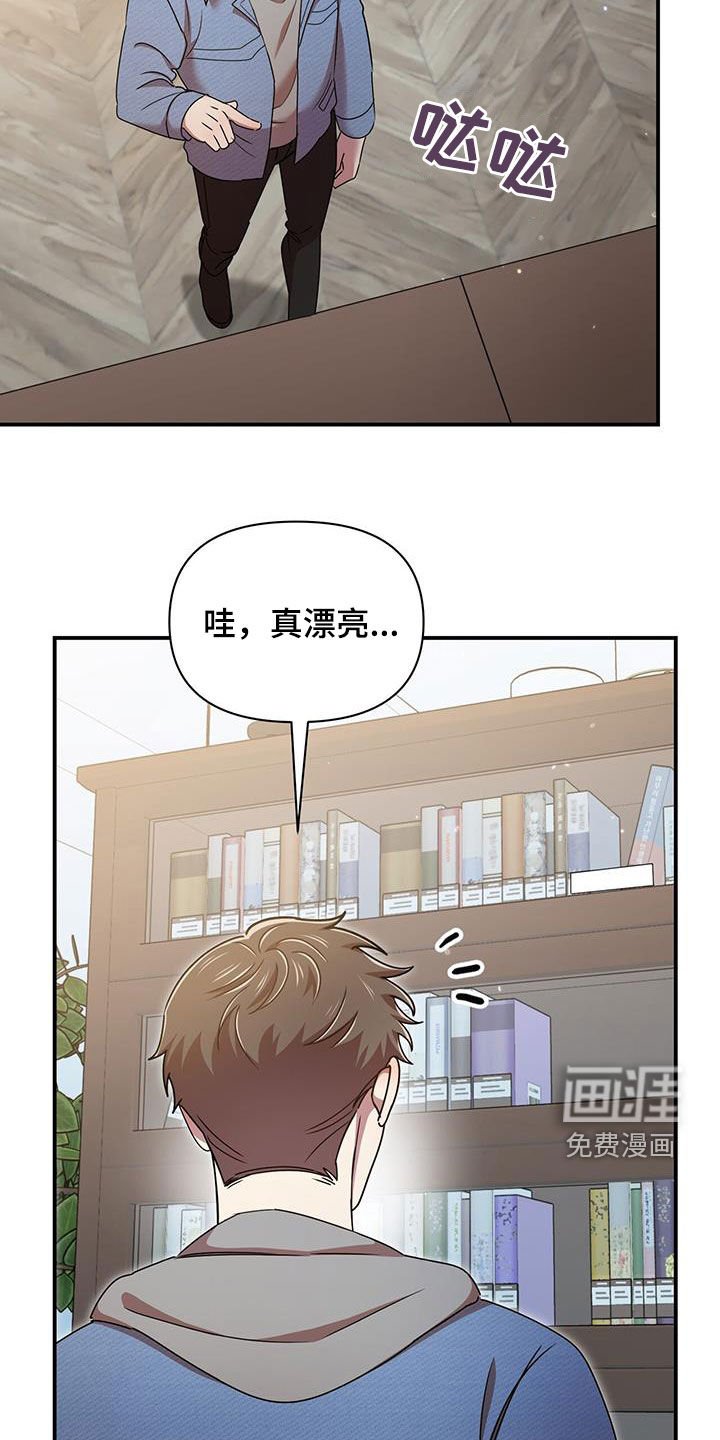 第78章：买家具
